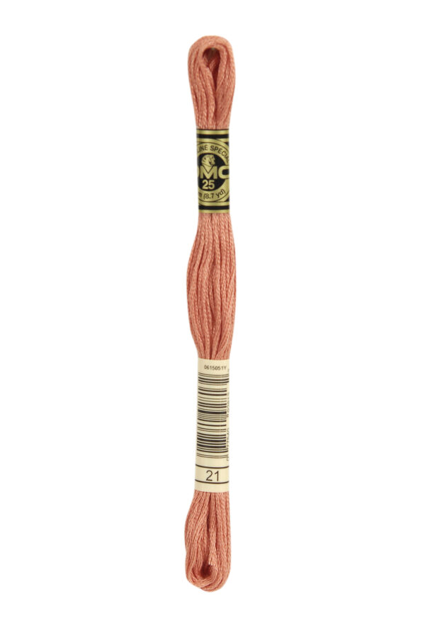 DMC Mouliné 21